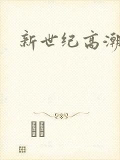 新世纪高潮战队