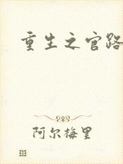 重生之官路风流