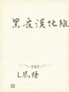 黑夜汉化组