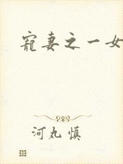 宠妻之一女二夫