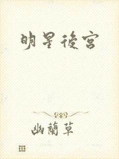 明星后宫