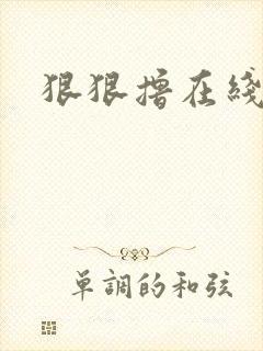 狠狠撸在线视频