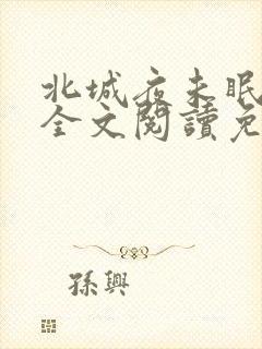 北城夜未眠小说全文阅读免费