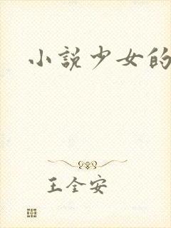 小说少女的心
