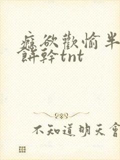 瘾欲欢愉半块小饼干tnt