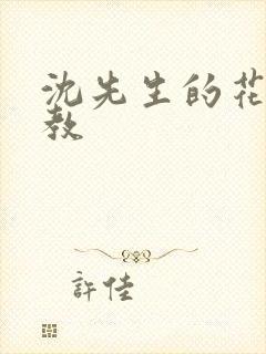 沈先生的花式管教