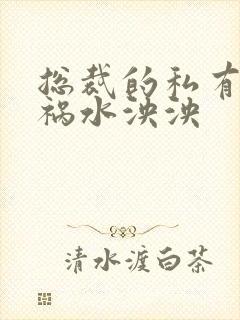 总裁的私有宝贝祸水泱泱