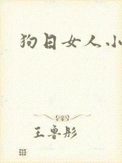 狗日女人小说