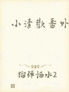 小清欢番外