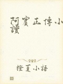 阿宾正传小说在读