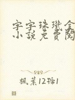 字字珠玑金银花小说免费阅读