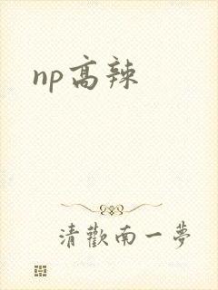 np高辣