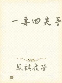 一妻四夫手记