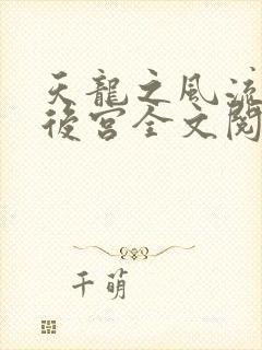 天龙之风流猎艳后宫全文阅读