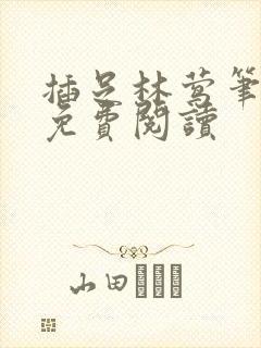 插足林莺笔趣阁免费阅读