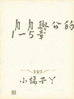 月月与公的激情1一5章