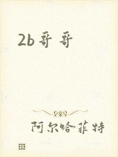 2b哥哥