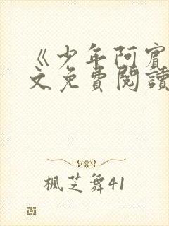 《少年阿宾》全文免费阅读