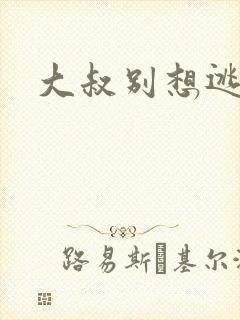 大叔别想逃