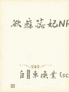 欲瘾蕊妃NPH