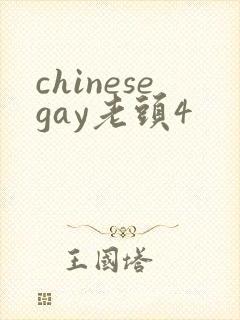 chinesegay老头4