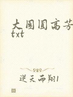 大团圆高芳小说txt