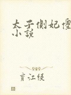 太子侧妃傻乎乎小说