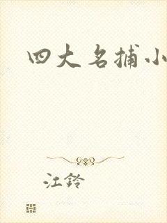 四大名捕小说