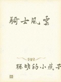 骑士风云