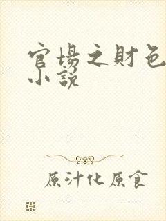 官场之财色诱人小说