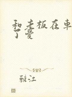 和老板在车里做了爱