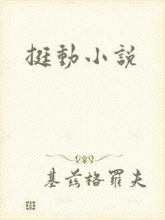 挺动小说