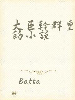 大臣干群皇太后的小说