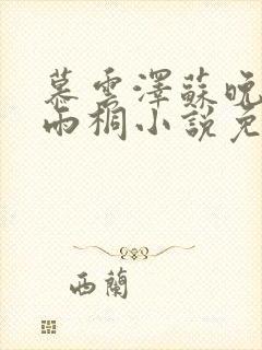 慕云泽苏晚晴夏雨桐小说免费阅读