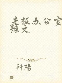 老板办公室系列辣文