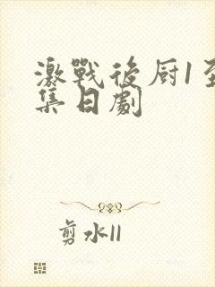 激战后厨1至5集日剧