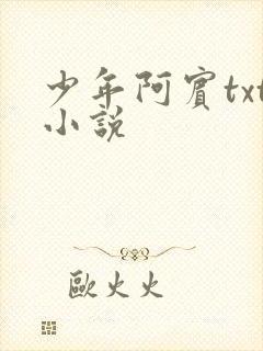 少年阿宾txt小说