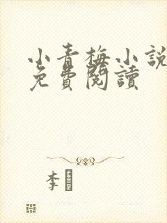 小青梅小说全文免费阅读