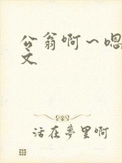 公翁啊～嗯啊h文