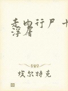 走肉行尸 十阶浮屠