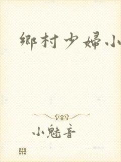 乡村少妇小说