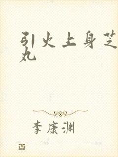 引火上身芝麻糖丸