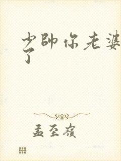 少帅你老婆又跑了