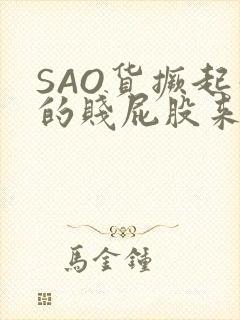 SAO货撅起你的贱屁股来