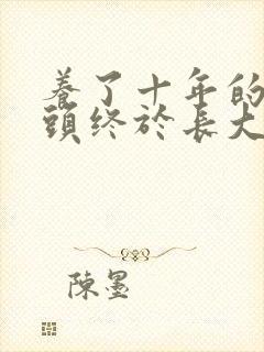 养了十年的小丫头终于长大了