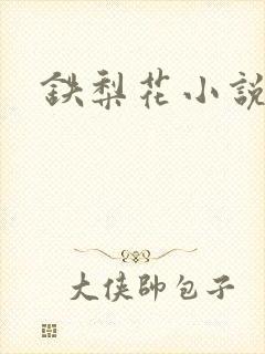 铁梨花小说
