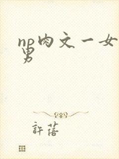 np肉文一女多男