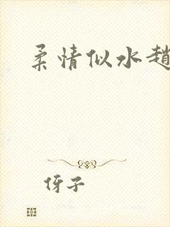 柔情似水赵雅儿