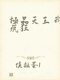 极品天王 我本疯狂