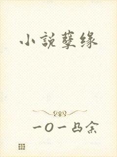 小说孽缘